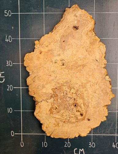 Very unusual spalted - very, burr